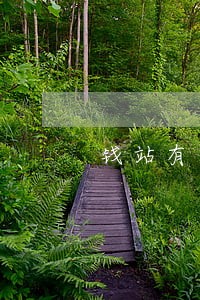 钱站有逾期三年的了吗 钱站有逾期三年的了吗