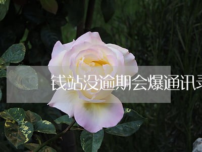 钱站没逾期会爆通讯录吗 钱站没逾期会爆通讯录吗