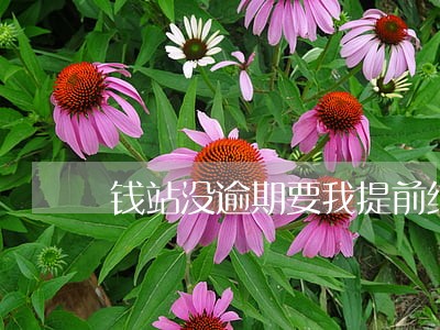 钱站没逾期要我提前结清