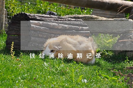 钱站消除逾期记录 钱站消除逾期记录