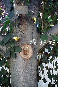 钱站的逾期费是多少 钱站的逾期费是多少