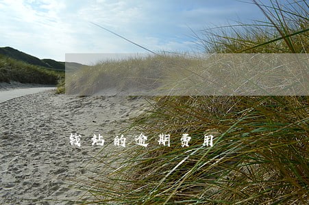 钱站的逾期费用 钱站的逾期费用