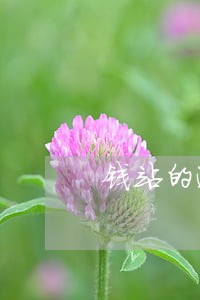 钱站的逾期还款后能恢复吗 钱站的逾期还款后能恢复吗