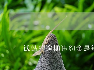 钱站的逾期违约金是每天100吗 钱站的逾期违约金是每天100吗