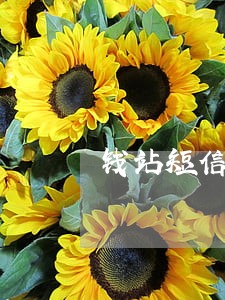 钱站短信发生严重逾期 钱站短信发生严重逾期