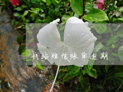 钱站短信账单逾期 钱站短信账单逾期