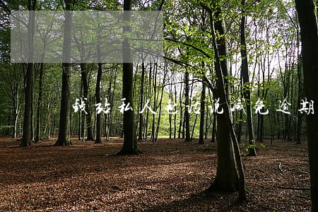 钱站私人电话说减免逾期 钱站私人电话说减免逾期