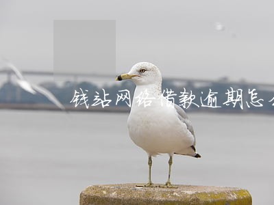 钱站网络借款逾期怎么办 钱站网络借款逾期怎么办