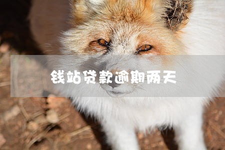 钱站贷款逾期两天 钱站贷款逾期两天