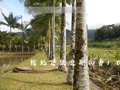 钱站贷款逾期扣费100元 钱站贷款逾期扣费100元