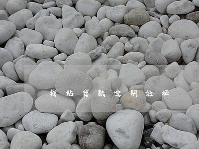 钱站贷款逾期论坛 钱站贷款逾期论坛