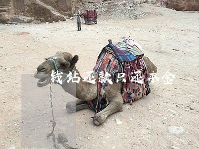 钱站还款只还本金