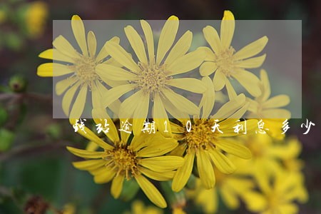 钱站逾期10天利息多少 钱站逾期10天利息多少