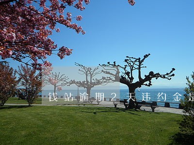 钱站逾期2天违约金是多少 钱站逾期2天违约金是多少