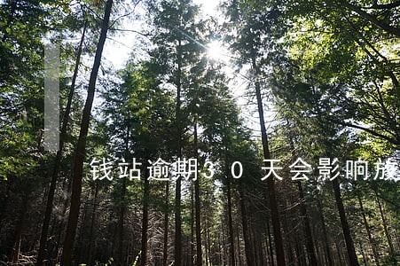 钱站逾期30天会影响放款吗 钱站逾期30天会影响放款吗