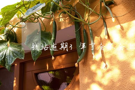 钱站逾期3年了会不会上征信 钱站逾期3年了会不会上征信