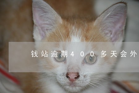 钱站逾期400多天会外包吗