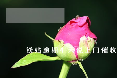 钱站逾期4天说上门催收 钱站逾期4天说上门催收