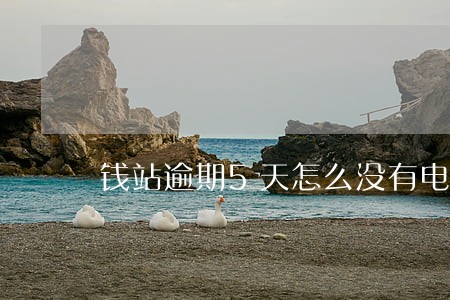 钱站逾期5天怎么没有电话 钱站逾期5天怎么没有电话
