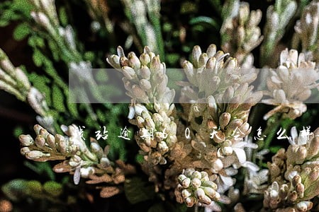 钱站逾期60天会怎么样 钱站逾期60天会怎么样