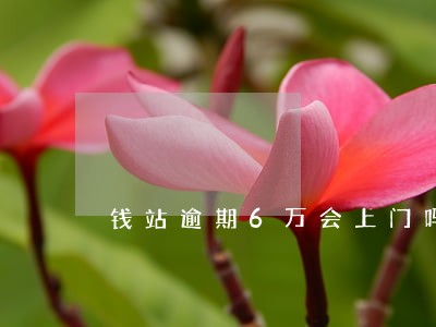 钱站逾期6万会上门吗 钱站逾期6万会上门吗