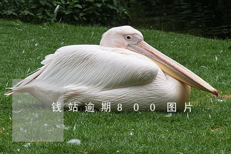 钱站逾期800图片 钱站逾期800图片