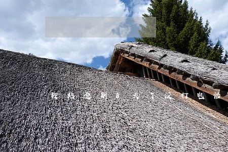 钱站逾期8天了没打电话啊 钱站逾期8天了没打电话啊