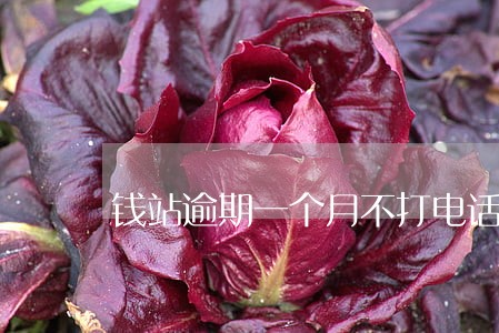 钱站逾期一个月不打电话 钱站逾期一个月不打电话