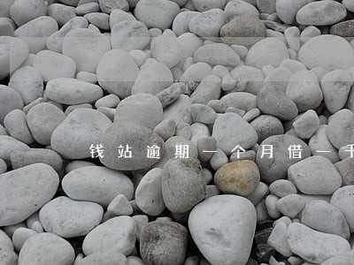 钱站逾期一个月借一千