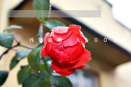 钱站逾期一天200多费用 钱站逾期一天200多费用