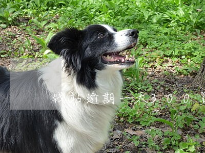 钱站逾期一天300罚息 钱站逾期一天300罚息