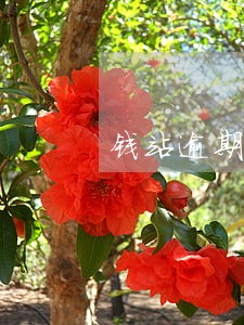 钱站逾期一天50违约金 钱站逾期一天50违约金