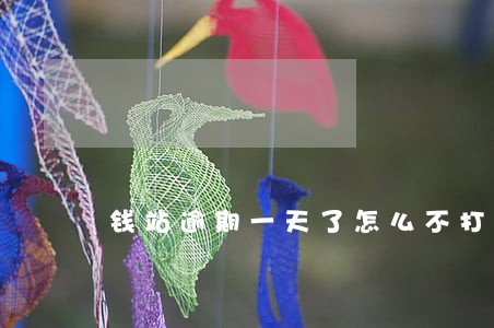 钱站逾期一天了怎么不打电话 钱站逾期一天了怎么不打电话