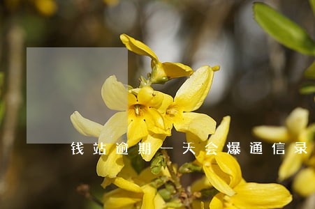 钱站逾期一天会爆通信录吗 钱站逾期一天会爆通信录吗
