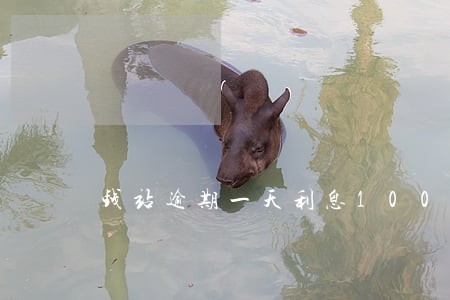 钱站逾期一天利息100是否合法
