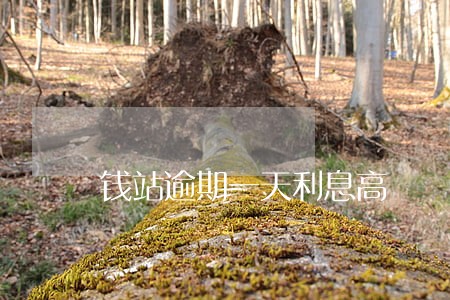 钱站逾期一天利息高 钱站逾期一天利息高