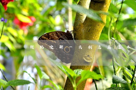 钱站逾期一天利息高过本金 钱站逾期一天利息高过本金