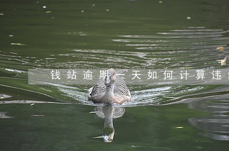 钱站逾期一天如何计算违约金 钱站逾期一天如何计算违约金