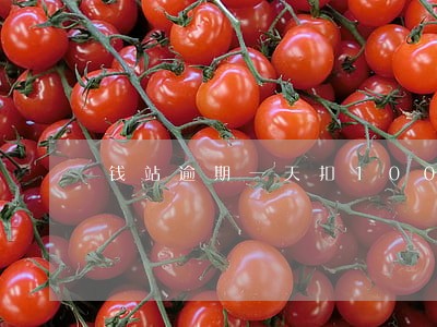 钱站逾期一天扣100元合法吗
