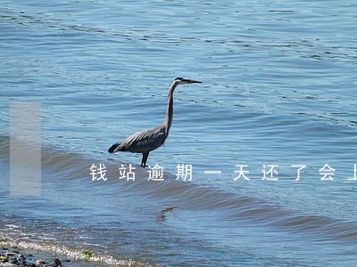 钱站逾期一天还了会上征信吗 钱站逾期一天还了会上征信吗