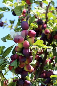 钱站逾期一天违约金100