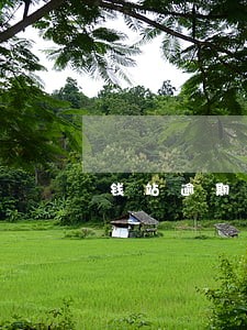 钱站逾期一天违约金一百多 钱站逾期一天违约金一百多