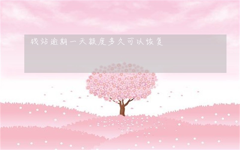 钱站逾期一天额度多久可以恢复 钱站逾期一天额度多久可以恢复