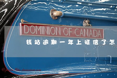 钱站逾期一年上征信了怎么还 钱站逾期一年上征信了怎么还