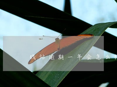 钱站逾期一年会怎么样 钱站逾期一年会怎么样