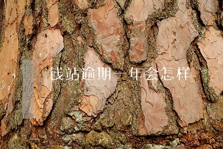 钱站逾期一年会怎样 钱站逾期一年会怎样