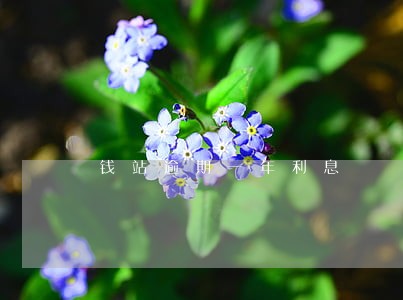 钱站逾期一年利息 钱站逾期一年利息