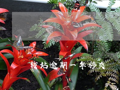 钱站逾期一年移交 钱站逾期一年移交
