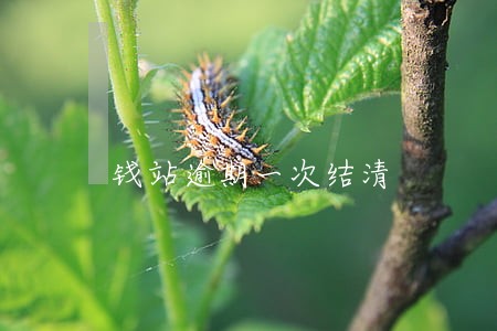 钱站逾期一次结清 钱站逾期一次结清