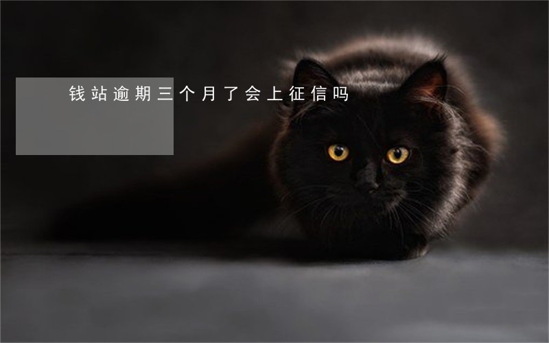 钱站逾期三个月了会上征信吗 钱站逾期三个月了会上征信吗
